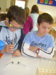 Hauptschule (11)